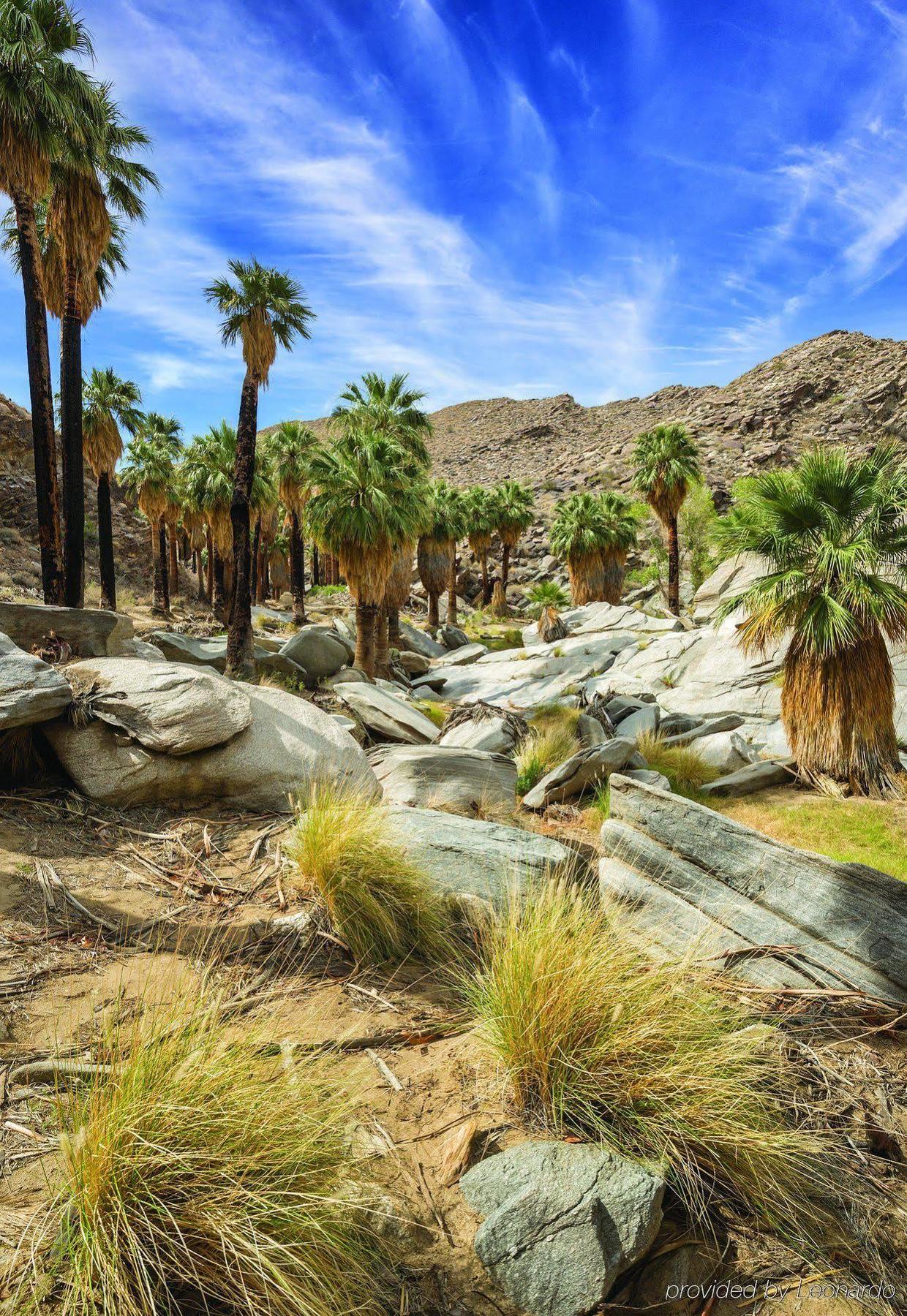 Resort Worldmark - Plaza And Palm Springs