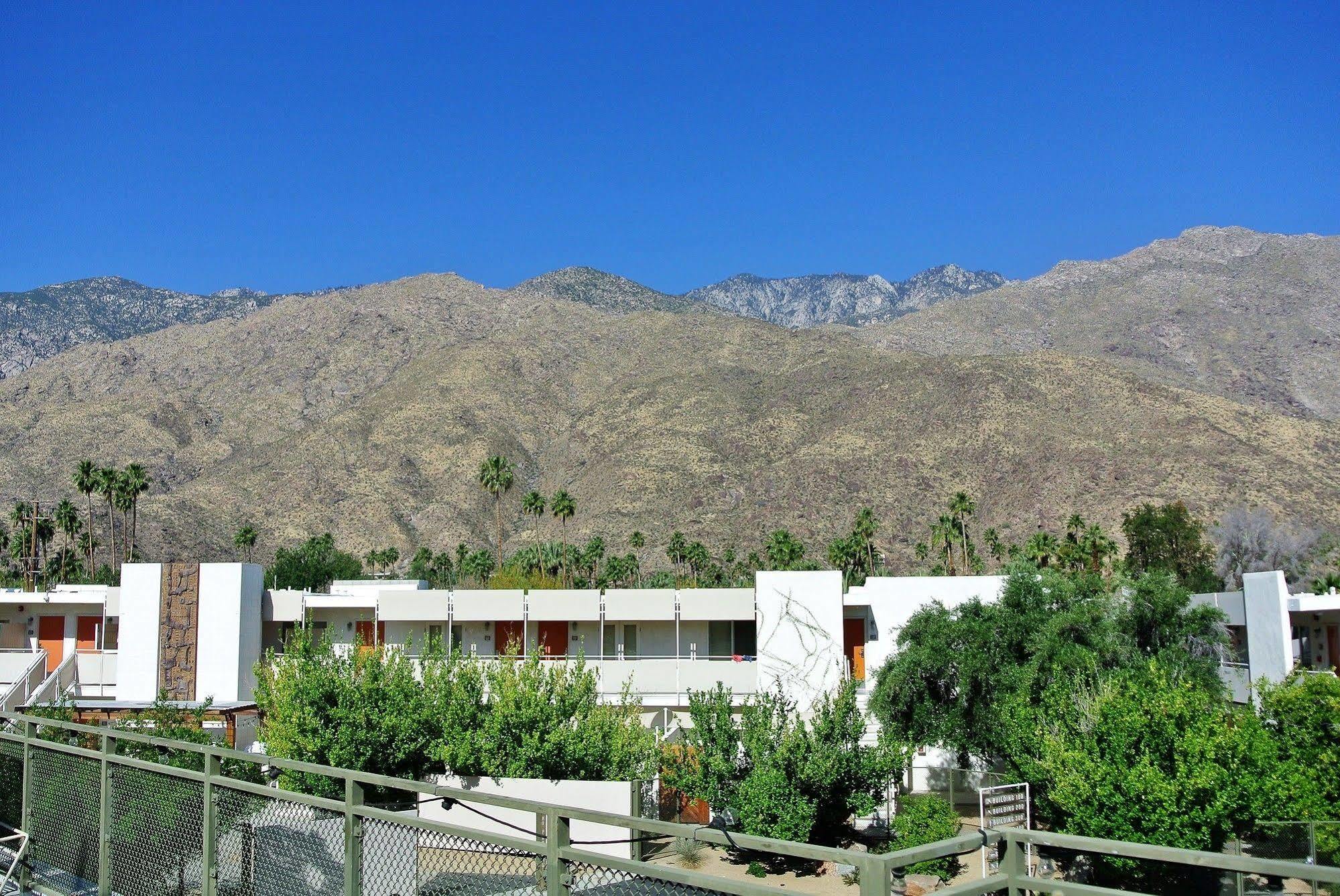 Hotel Ace And Swim Club Palm Springs