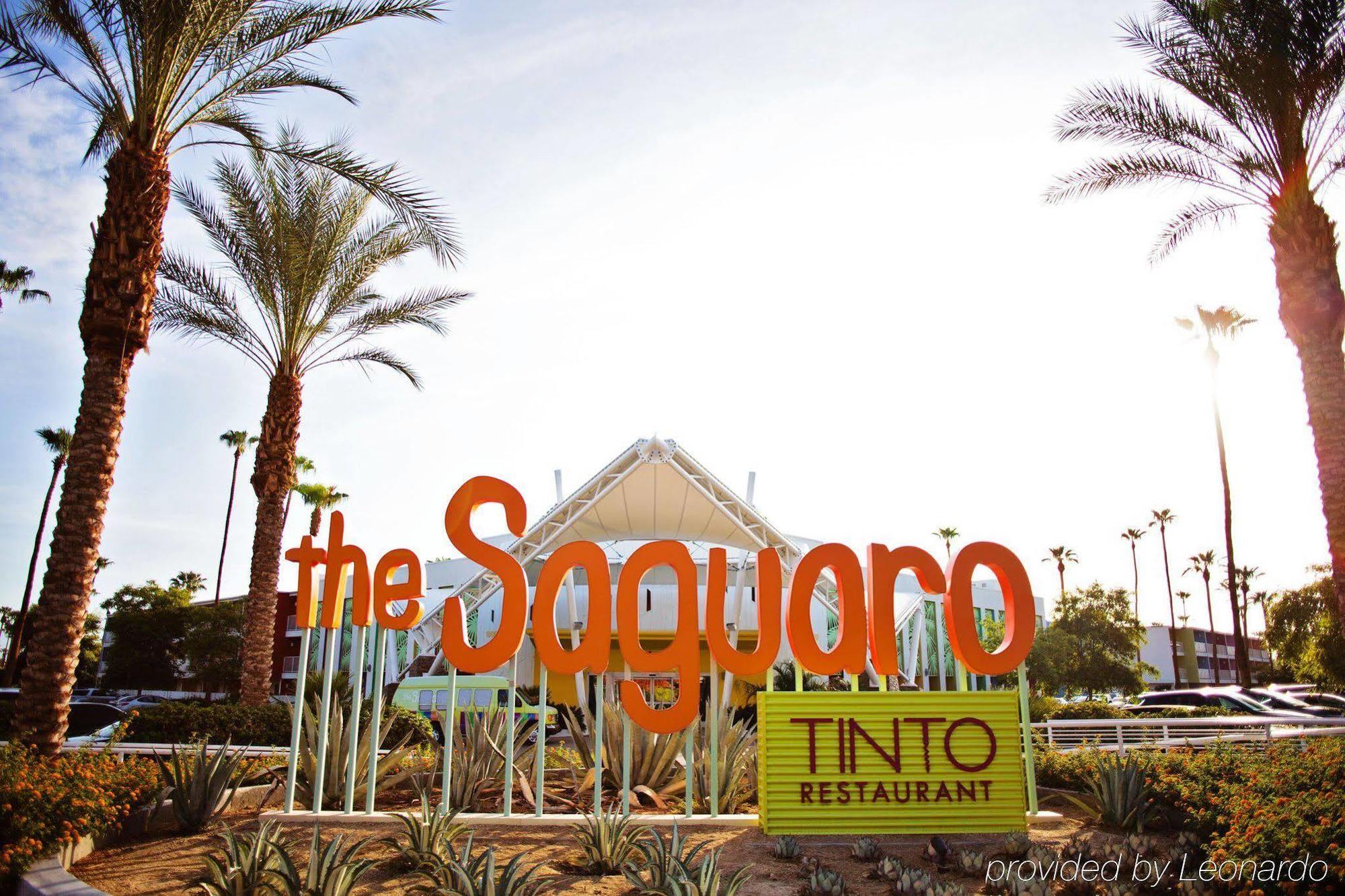 The Saguaro