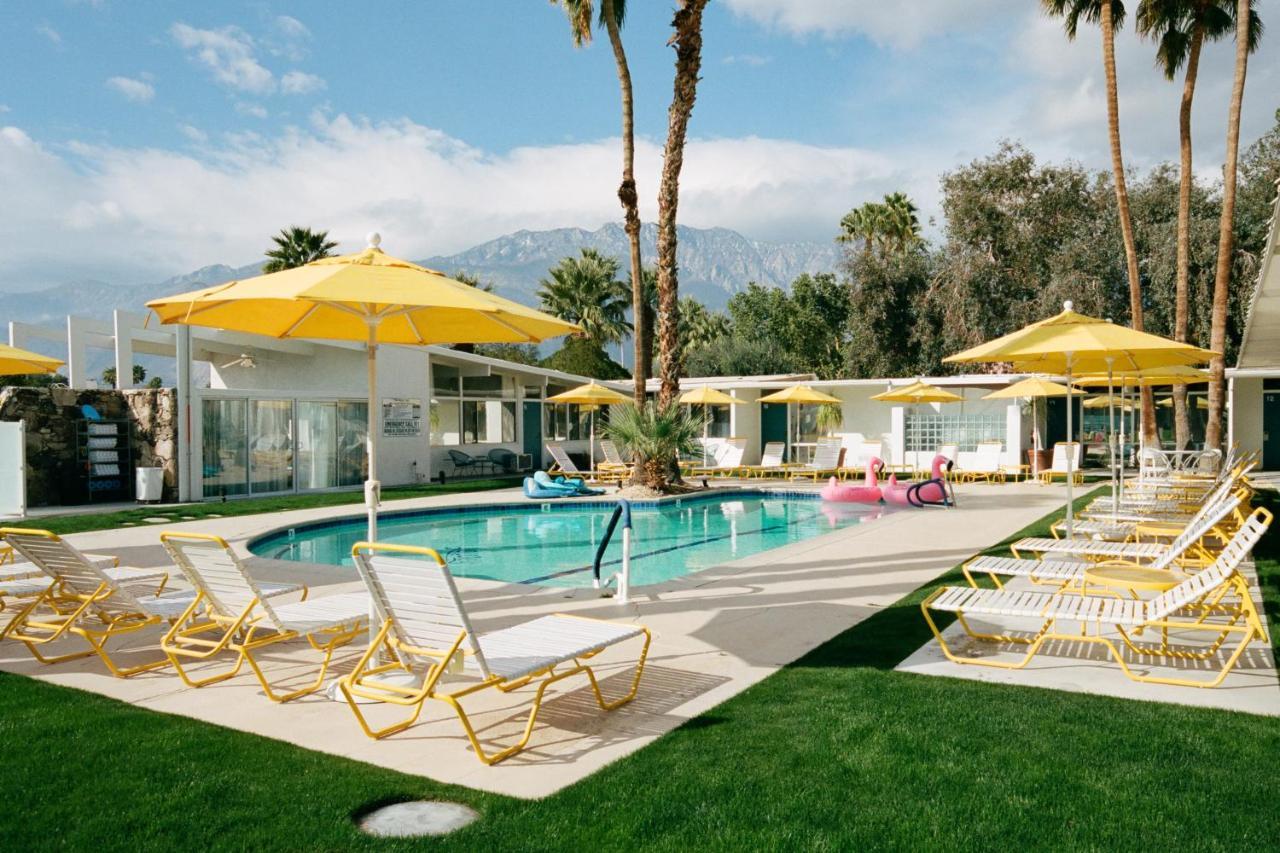 The Monkey Tree Palm Springs
