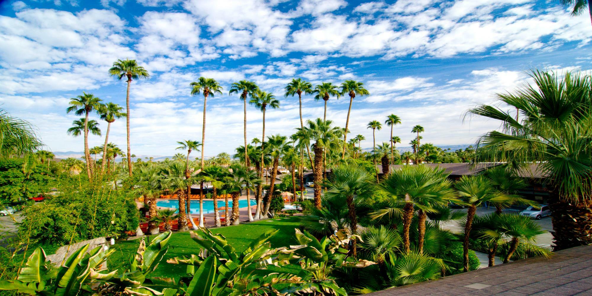 Caliente Tropics