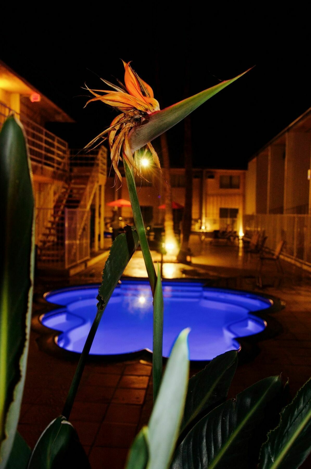 Motel Delos Reyes 2*
