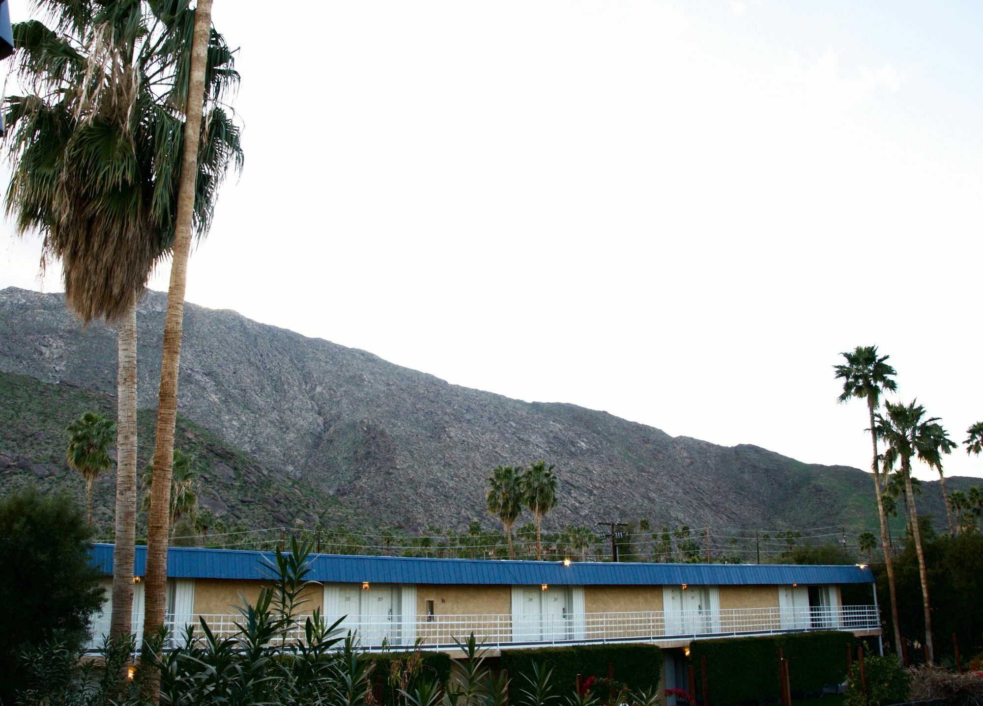 Delos Reyes Palm Springs