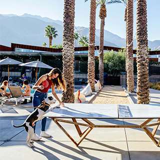 Arrive - Adults Only 4*