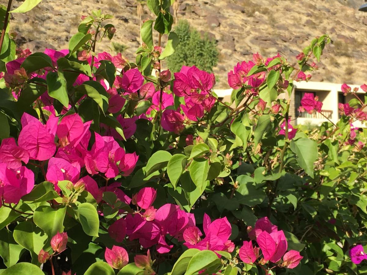 Hotel Getaways At Tennis Club 3*